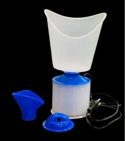 Salon Face Steamer