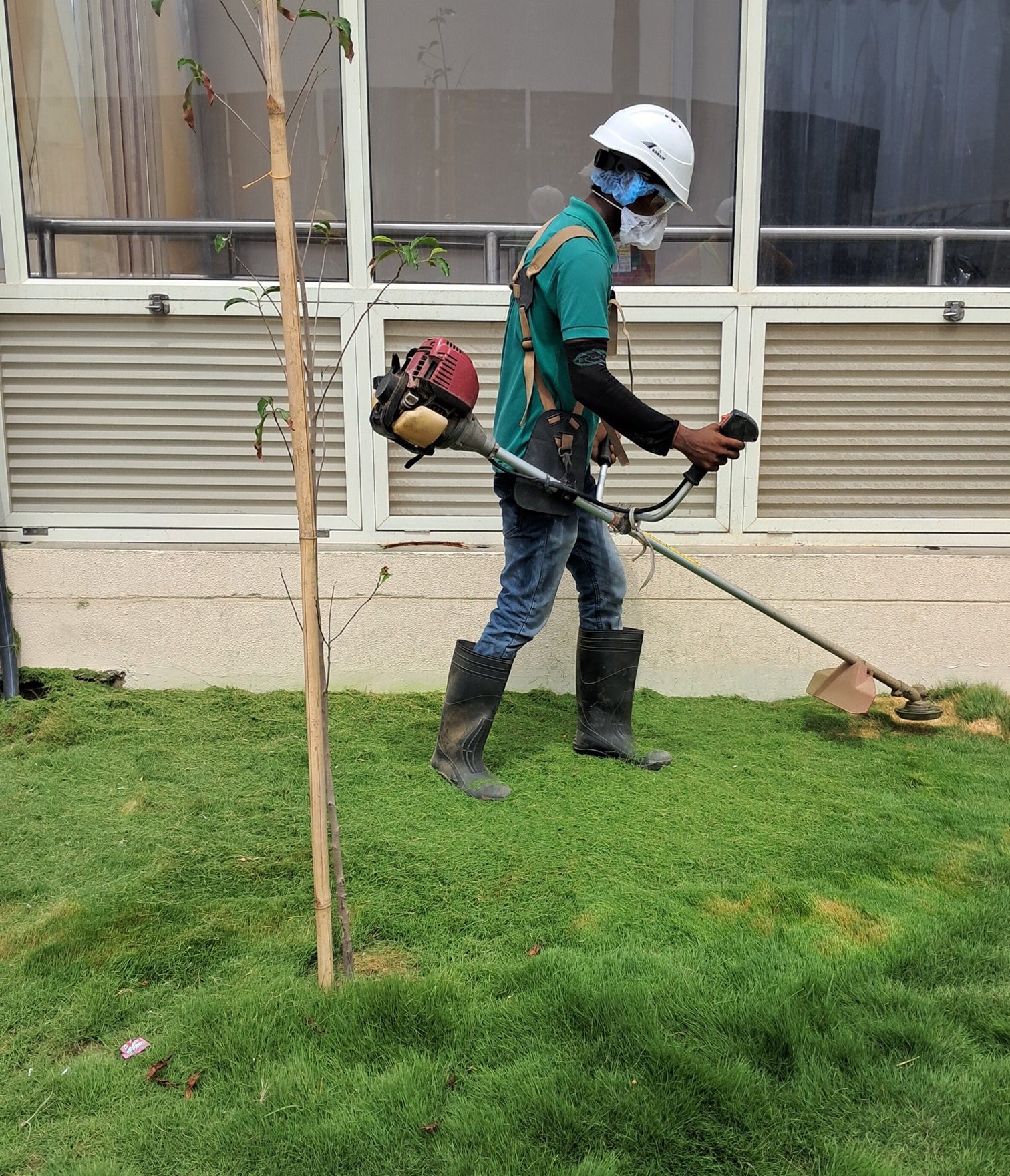 Landscaping Services