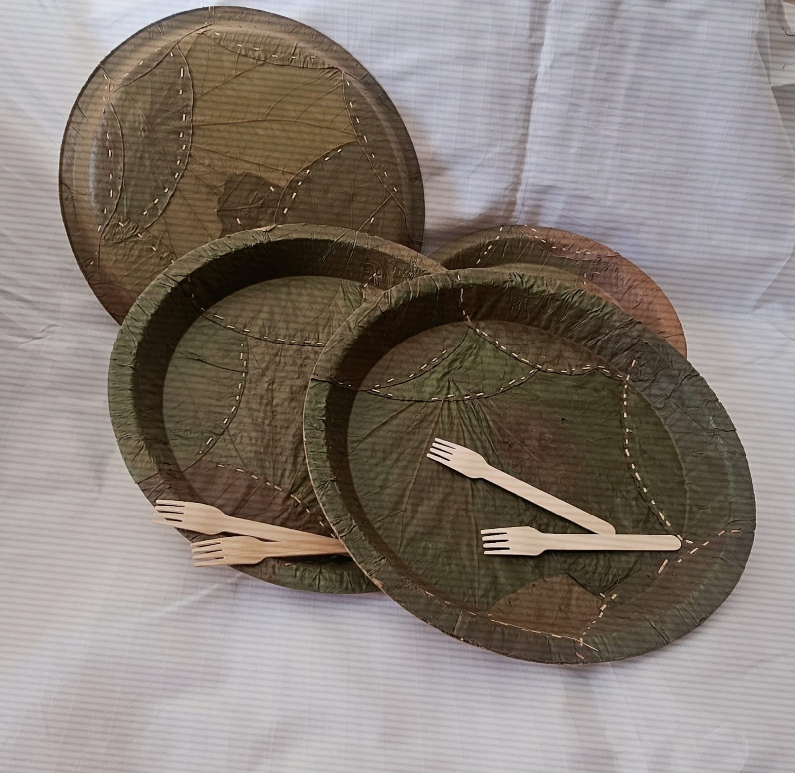 Sal Leaf plates