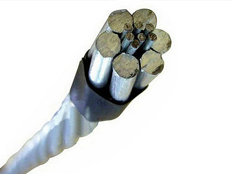 ACSR Dog Conductor 100 Sq mm