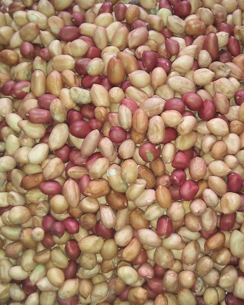 Organic peanuts 