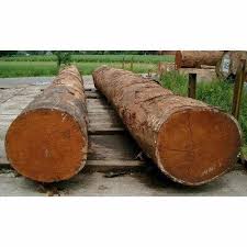SAL WOOD LOGS