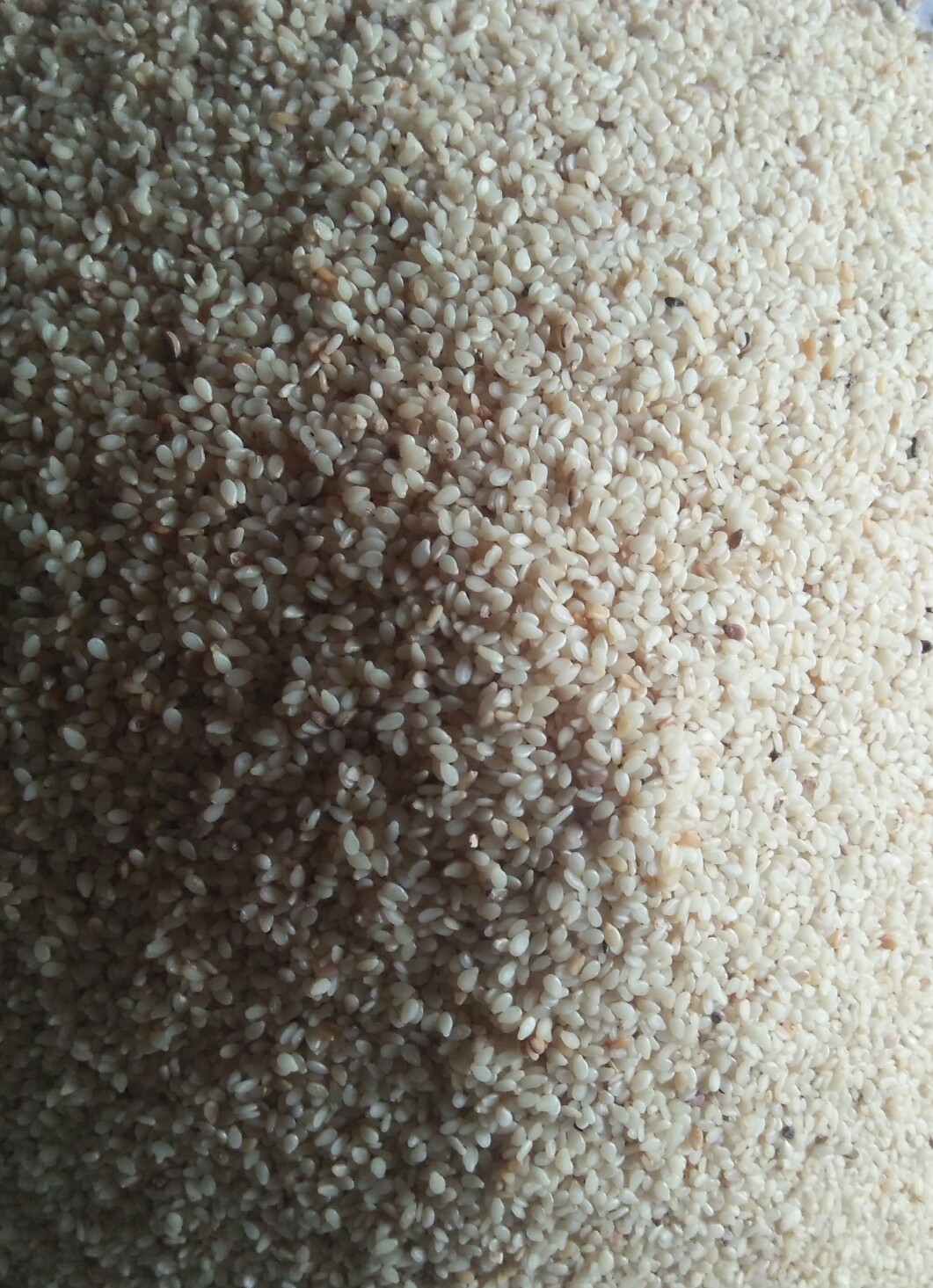 Gold sesame seed | organic gold sesame seeds 