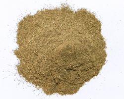 Curry leaves powder