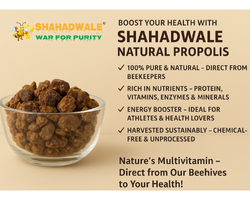SHAHADWALE Natural Bee Propolis – Immunity & Healing Superfood