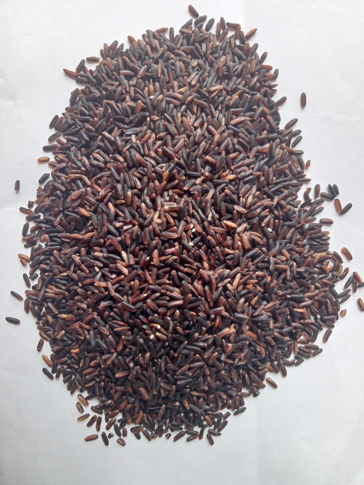 Black Rice