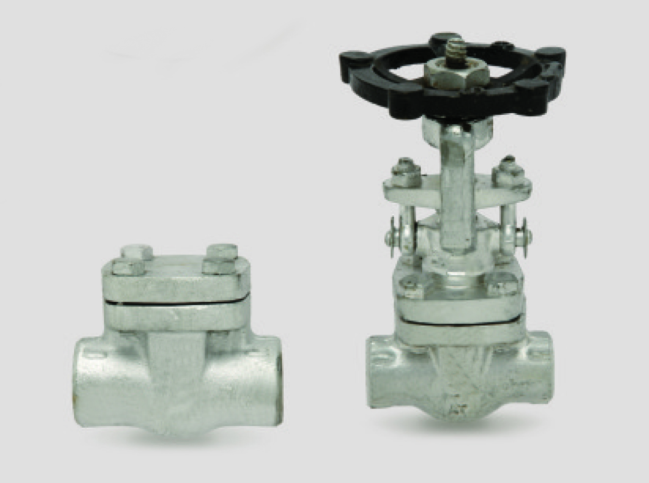 Forged Fittings and Valves