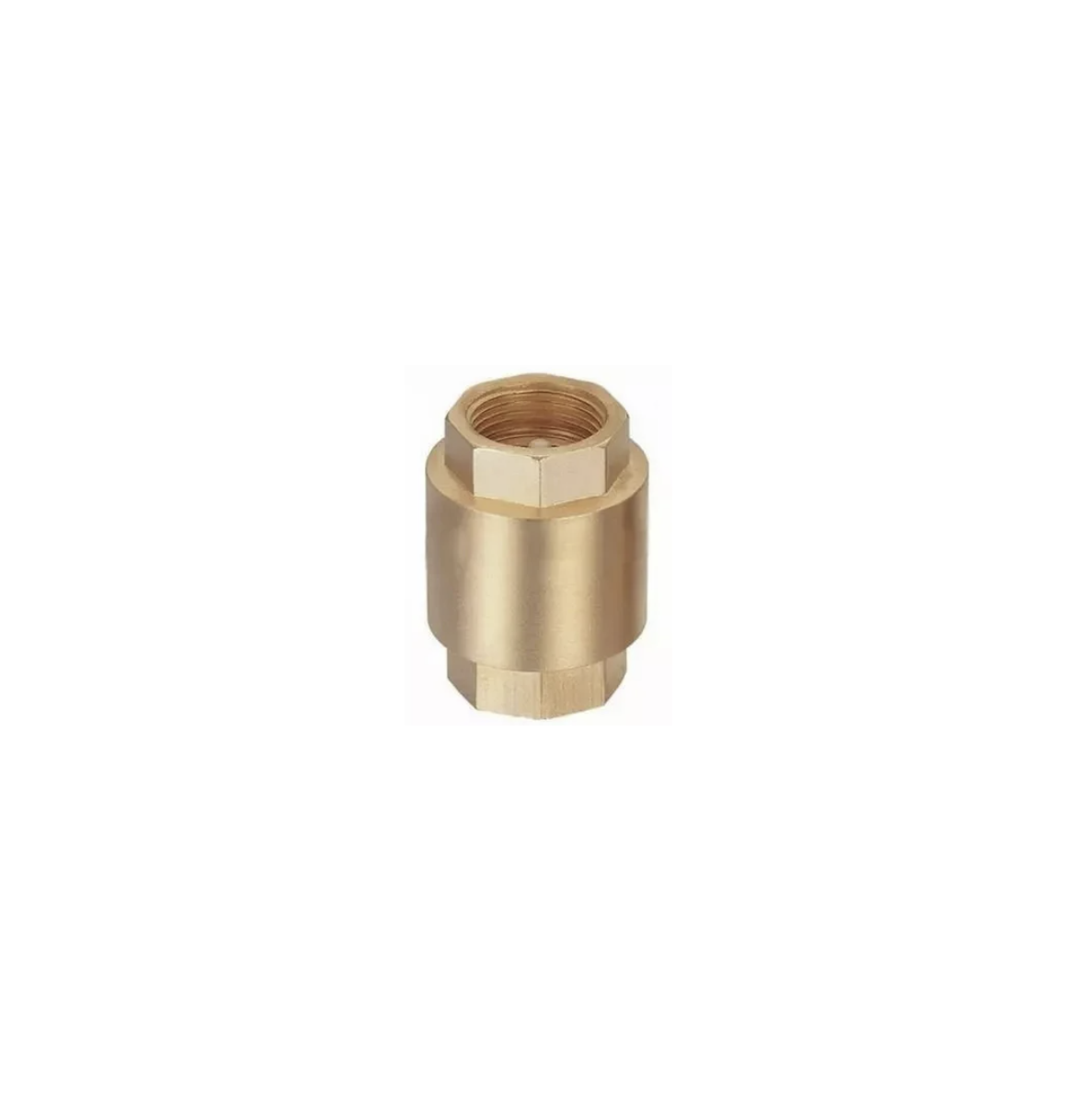 ELEMS Forged Brass Multi Utility Check Valve Screwed