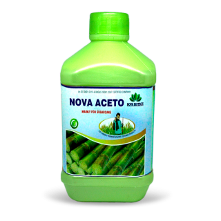 Nova Aecto 