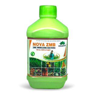 NOVA ZMB