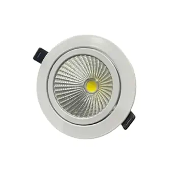 20 Watt LED Metal Movable COB LIGHT