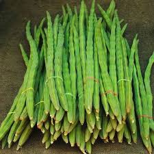 Moringa Drumstick-Boost Immunity, Reduce Blood sugar Level, Improve Digestion, Supports Weight Loss