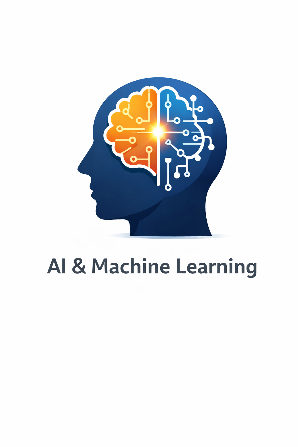 AI & Machine Learning Solutions