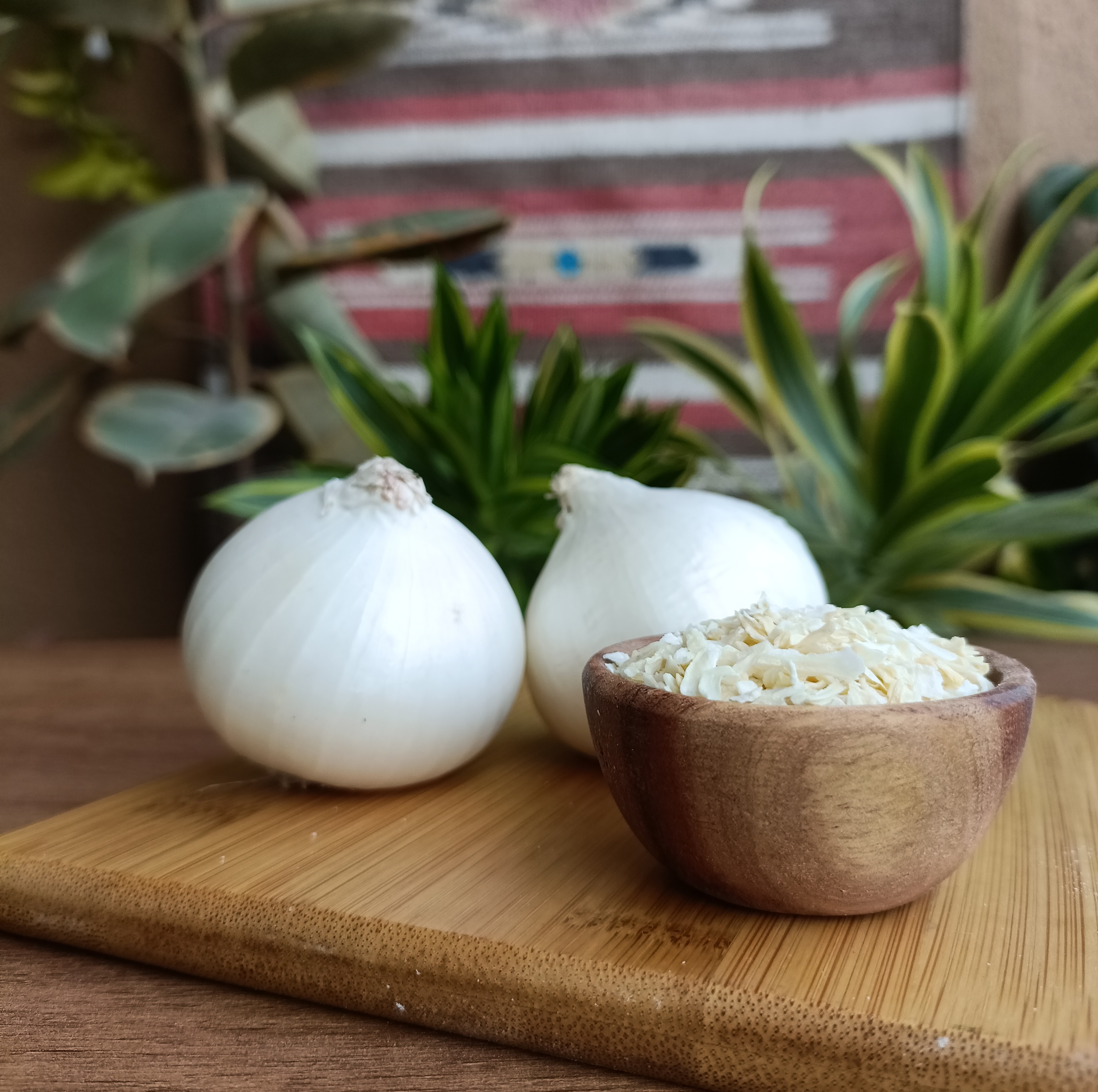 Dehydrated White Onion Chopped