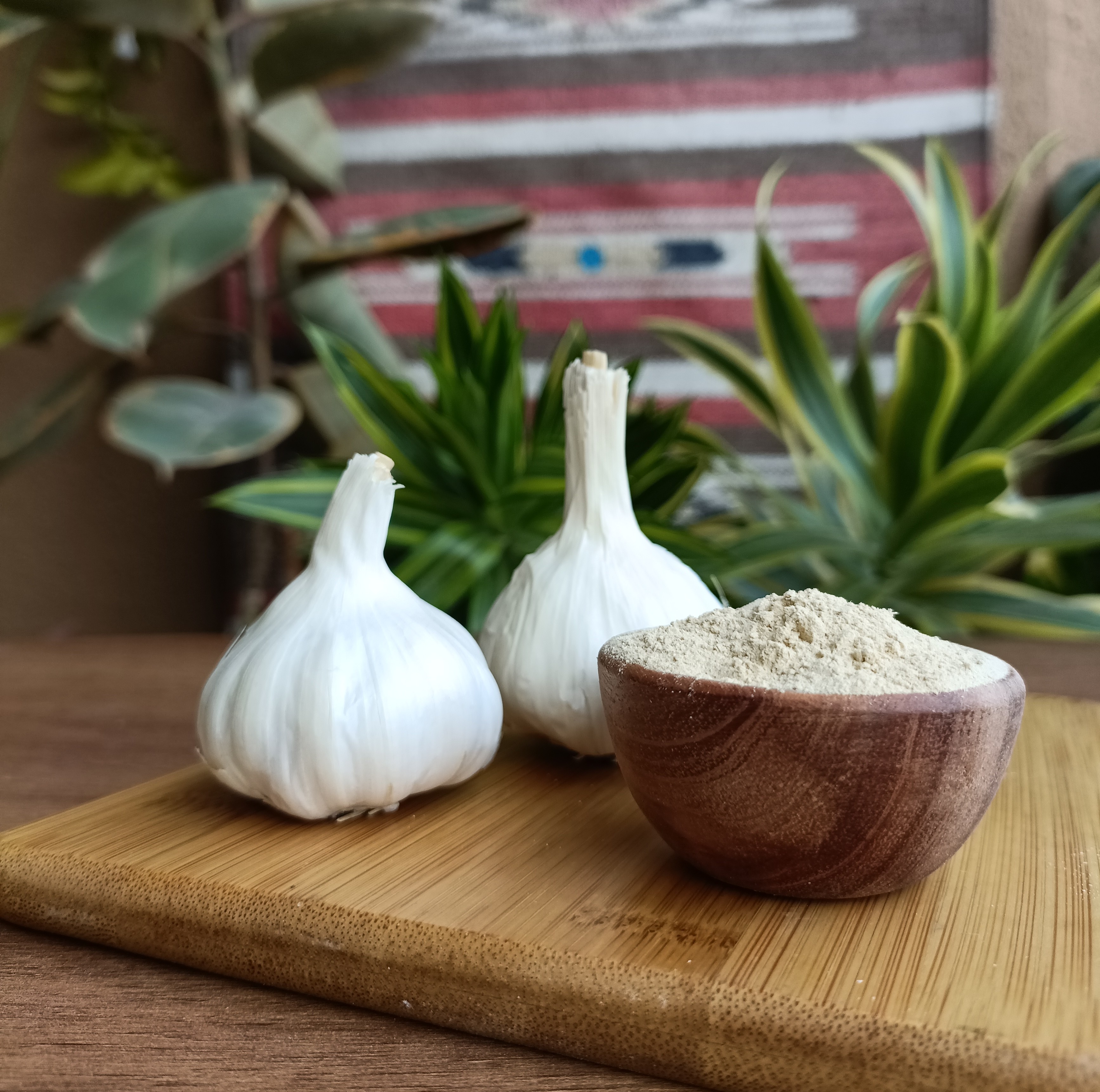 Dehydrated Garlic Powder