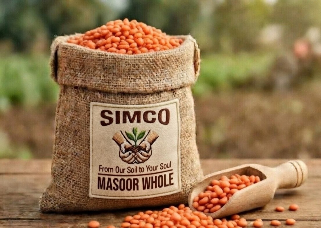 MASOOR WHOLE
