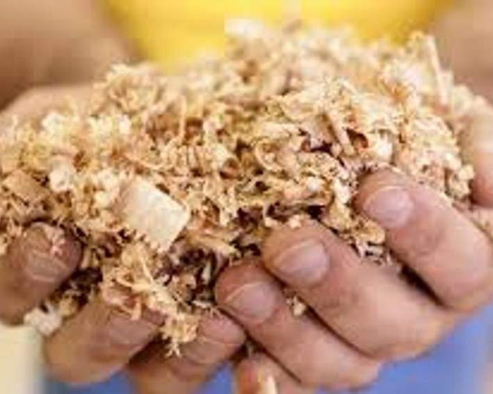 Sawdust
