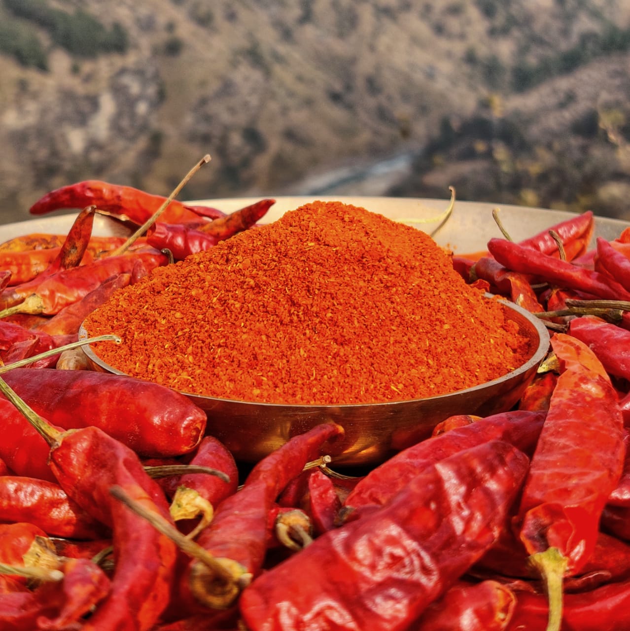 Dried Red Chilli and Powder