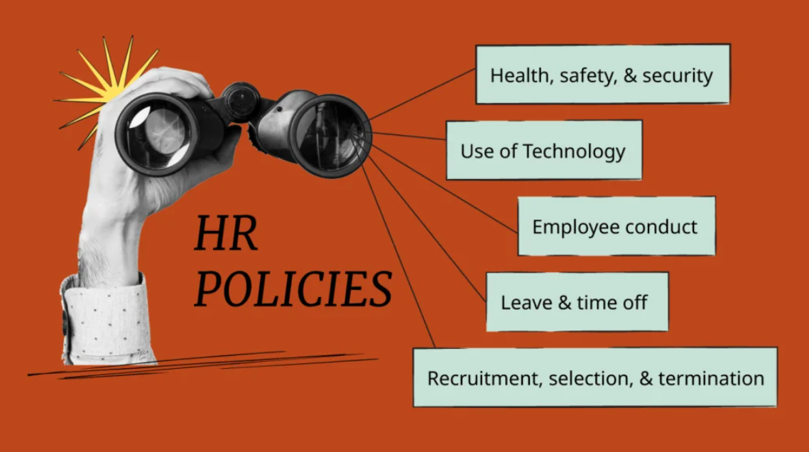 Business Analysis & Policy Design