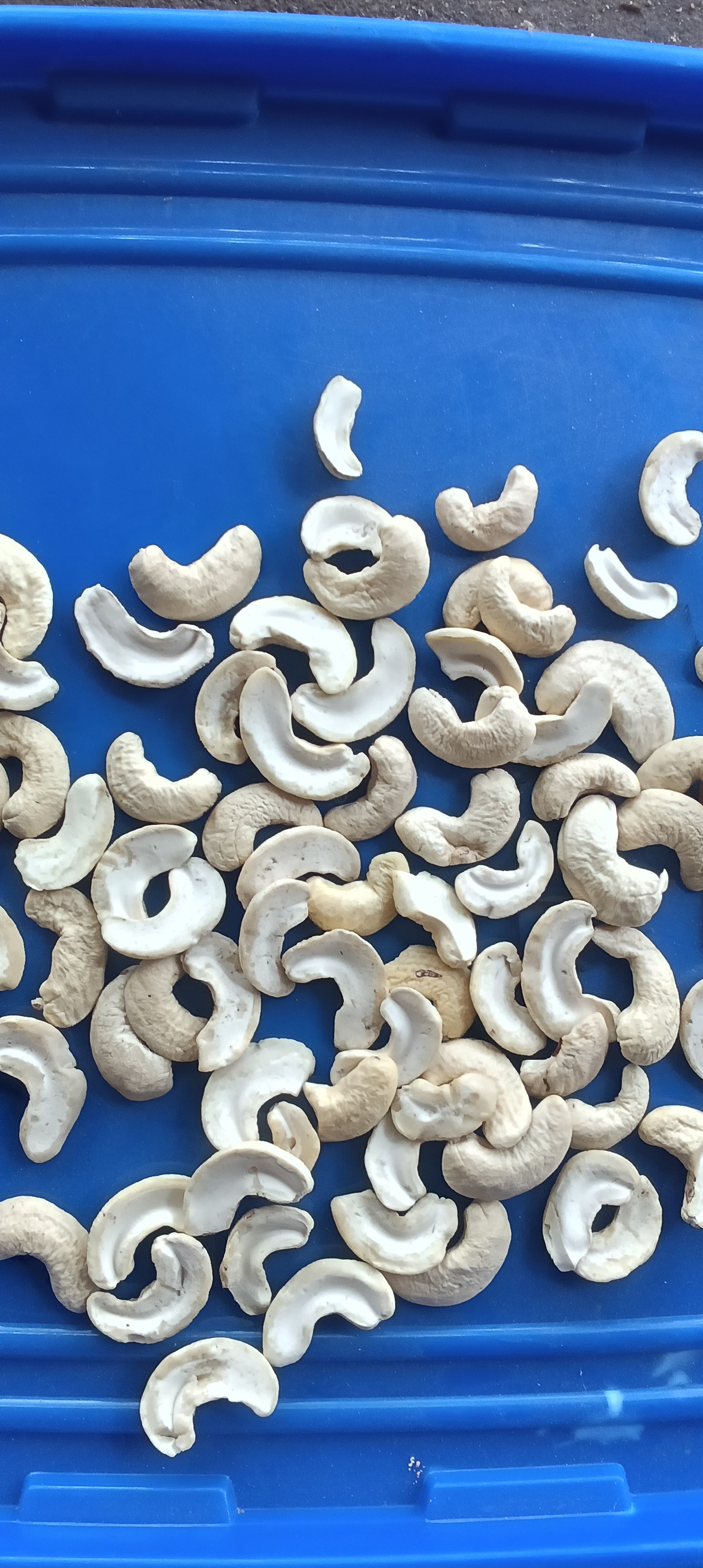 Split cashew 