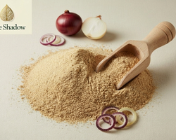 Premium Food Grade Dehydrated Onion Powder | Bulk B2B Supplier