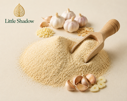 Premium Food Grade Dehydrated Garlic Powder | Bulk B2B Supplier