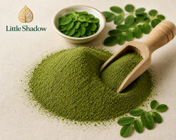 Premium Moringa Powder | Bulk B2B Health Food Supplier