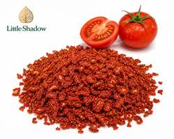 Premium Dehydrated Tomato Flakes | Bulk B2B Food Ingredient Supplier