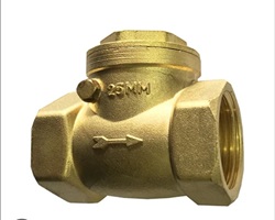 Check Valves / NRV