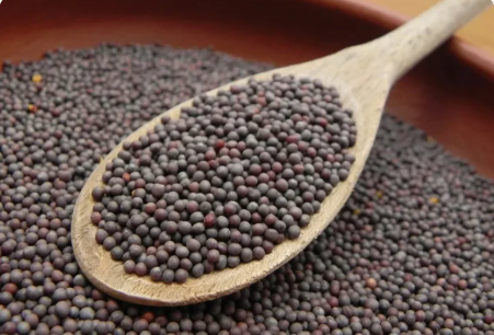 Black Mustard Seeds Bold