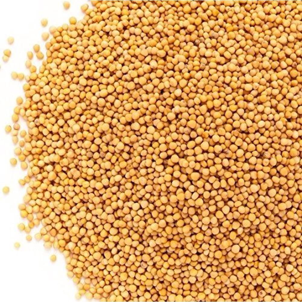 Yellow Mustard Seeds Small
