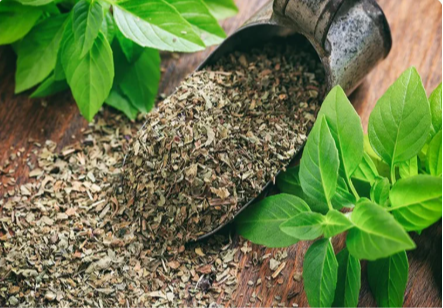Dried Basil