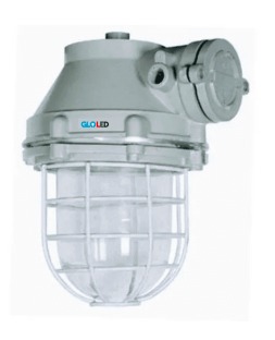 LED Flame Proof Light - 100W 
