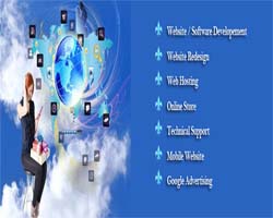 Website Design and Development