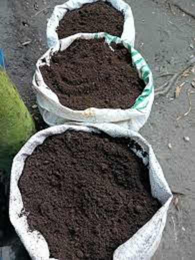 vermicompost 