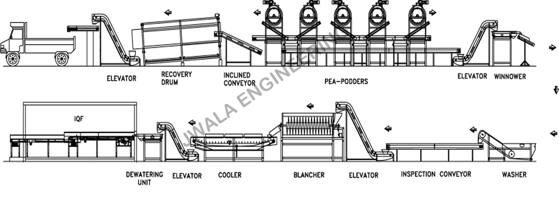 frozen peas manufacturing plant