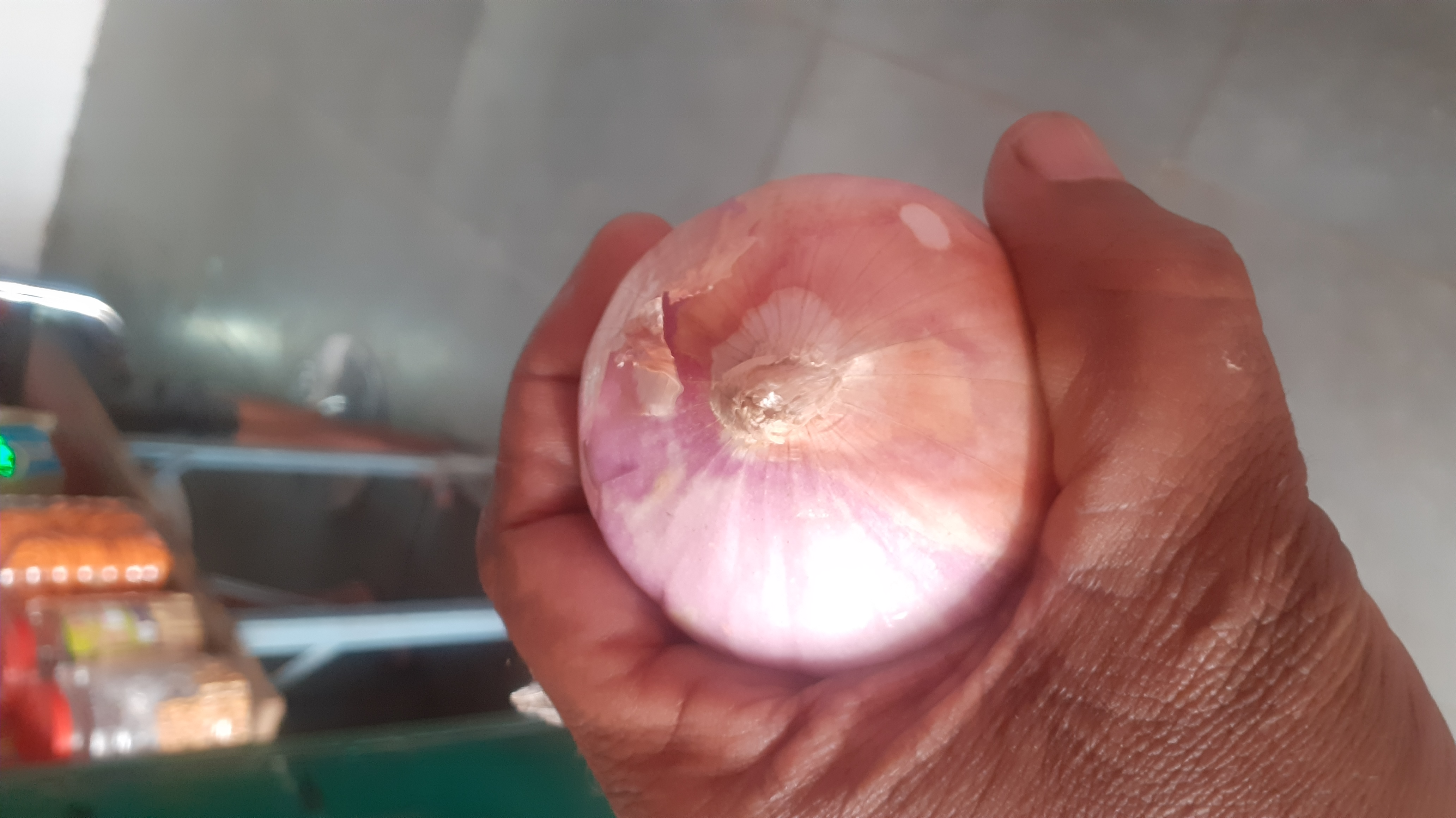 Onion