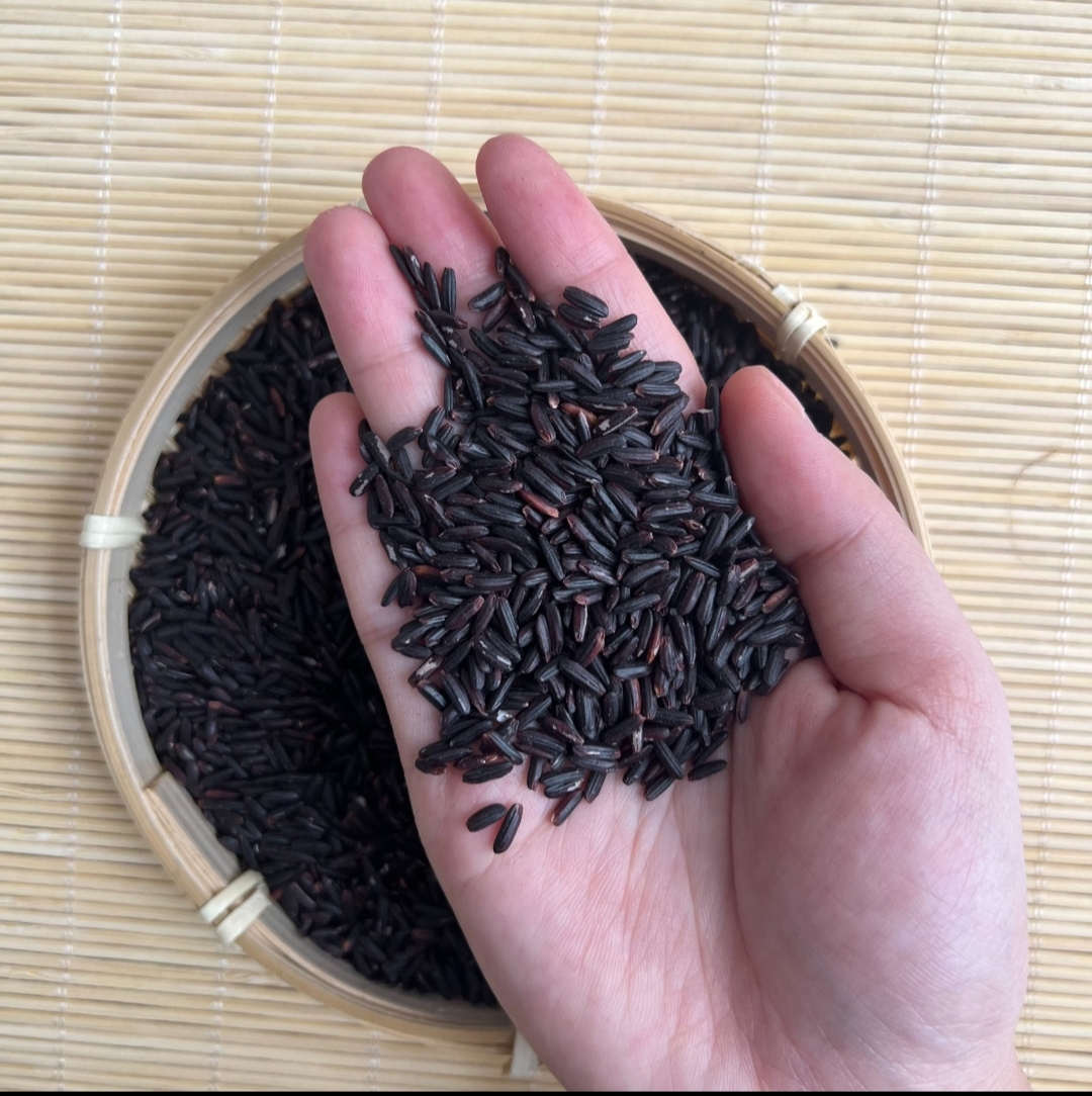 Black Rice Paddy