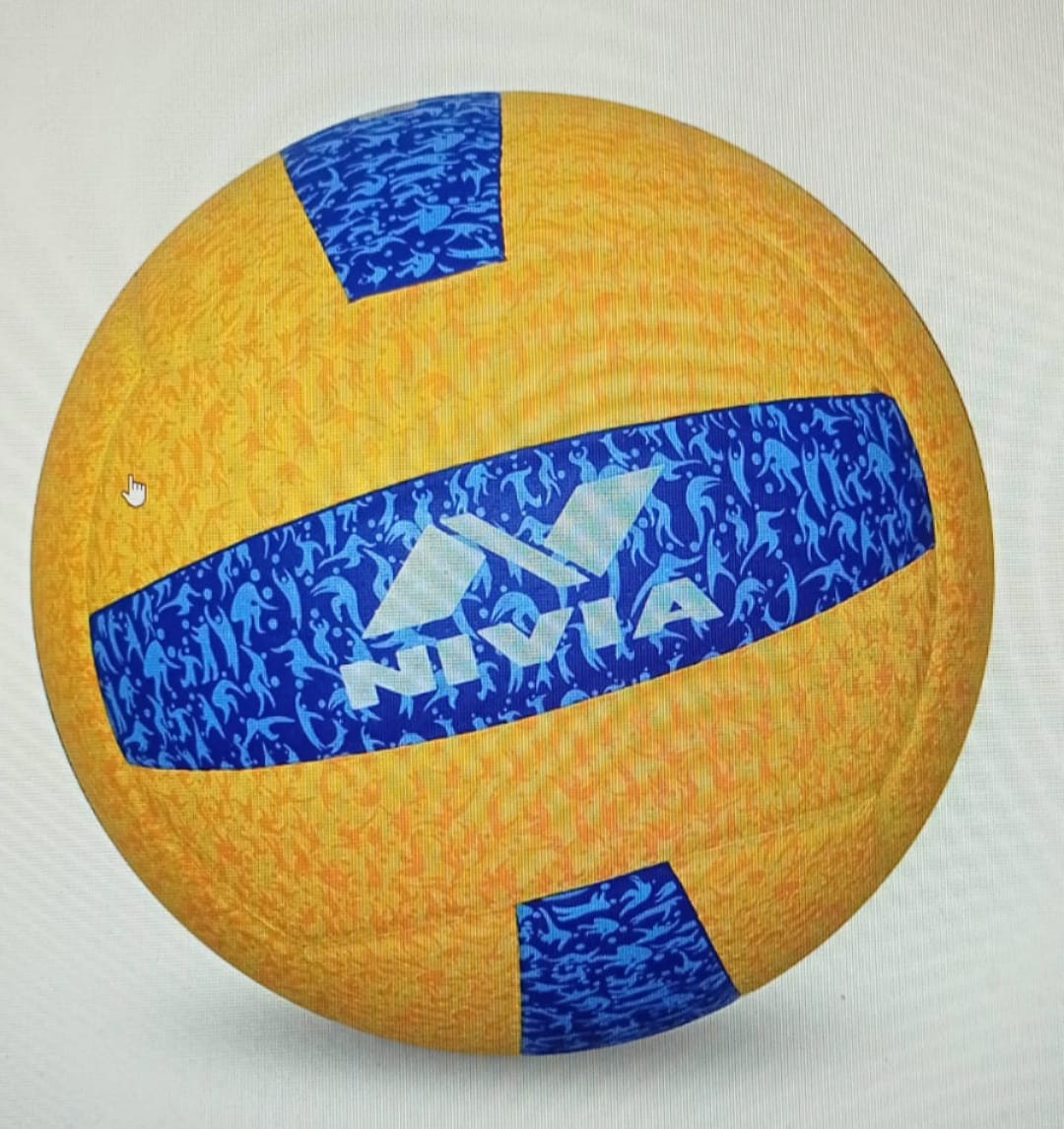 volleyball nivia