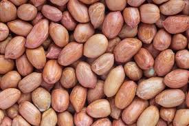 ground peanut
