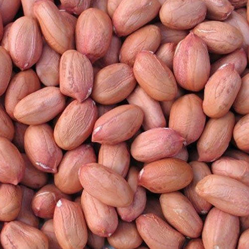 Peanuts Java