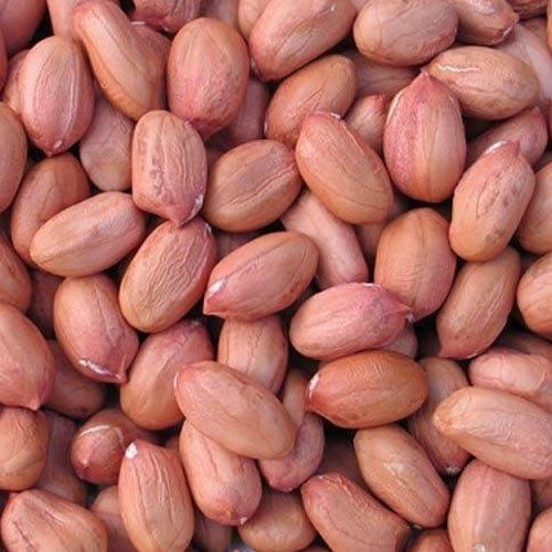 Groundnut kernel